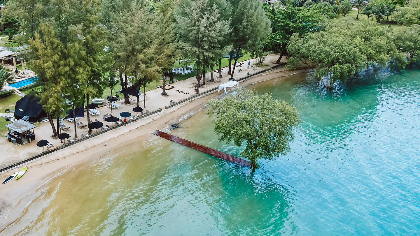 The Mangrove by Blu Monkey