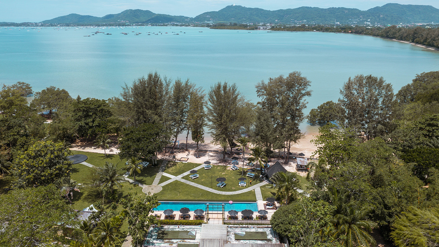 The Mangrove by Blu Monkey